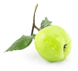 Similar image 1529537