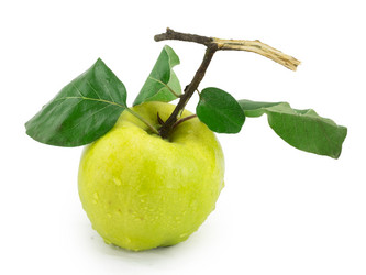 Similar image 1529539