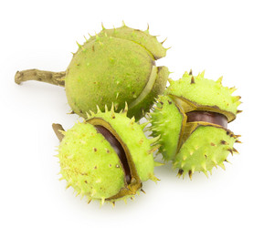 Similar image 1529541