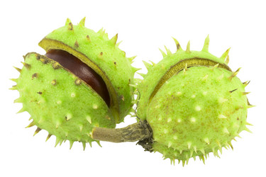 Similar image 1529542