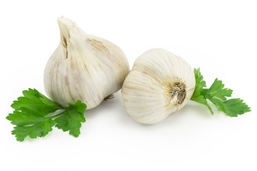 Similar image 1529543