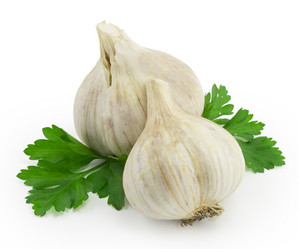 Similar image 1529560