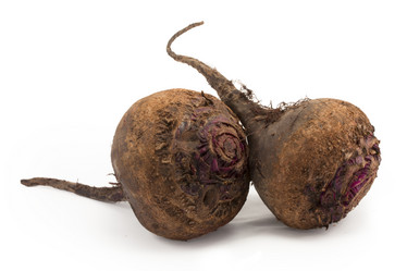 Similar image 1529562