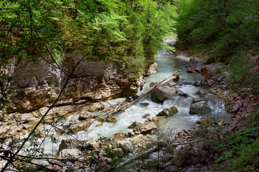 Similar image 1529670