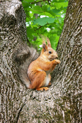 Similar image 1529671