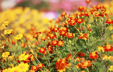 Similar image 1529672