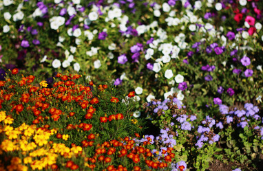 Similar image 1529674