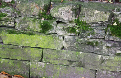 Similar image 1529675