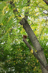 Similar image 1529676