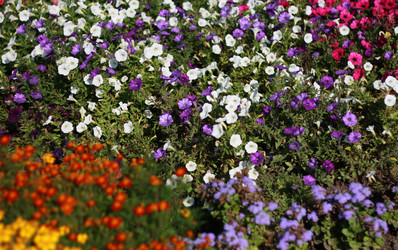 Similar image 1529677