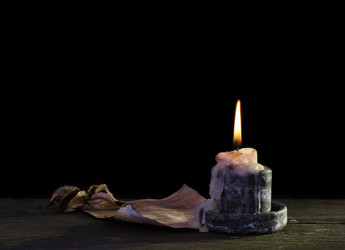 Similar image 1529683