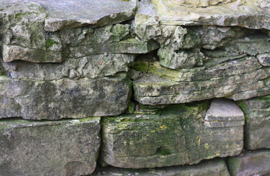 Similar image 1529685