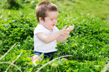 Similar image 1529724