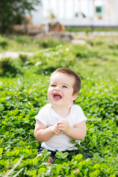 Similar image 1529725