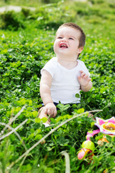 Similar image 1529726