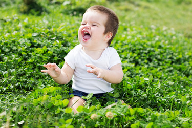 Similar image 1529727