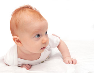 Similar image 1529731