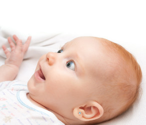 Similar image 1529732