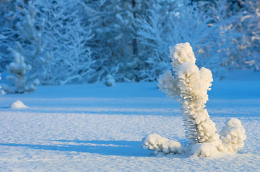 Similar image 1530044