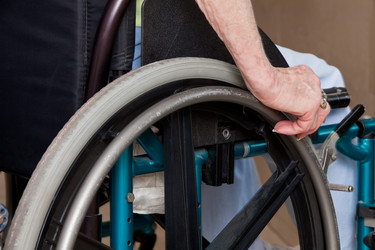 Similar image 1530256