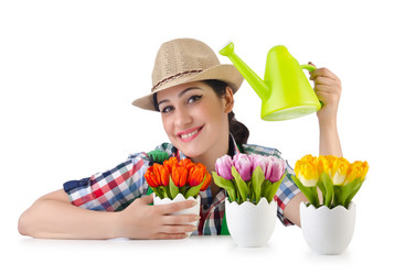 Similar image 1530265