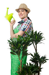 Similar image 1530278