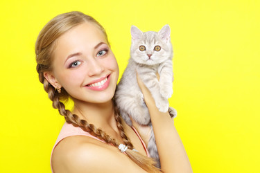 Similar image 1530465