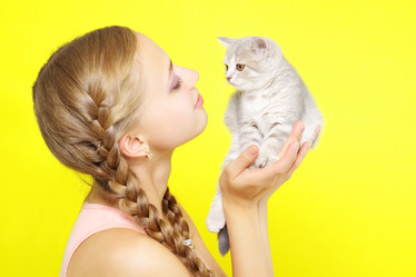 Similar image 1530466