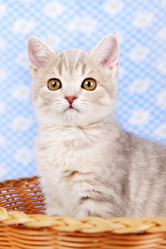 Similar image 1530467