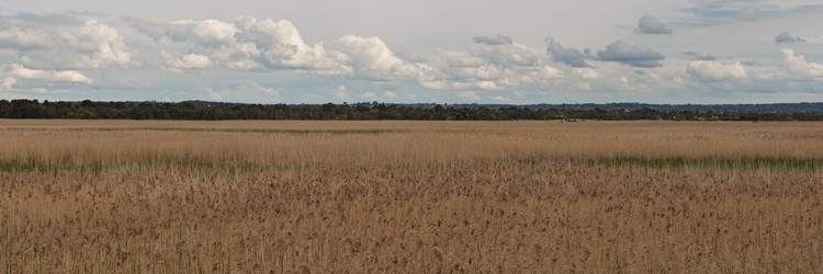 Similar image 1530481