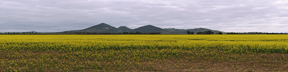 Similar image 1530483