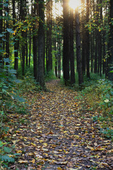 Similar image 1530504