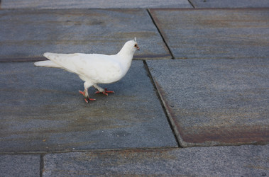 Similar image 1530507