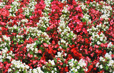 Similar image 1530508