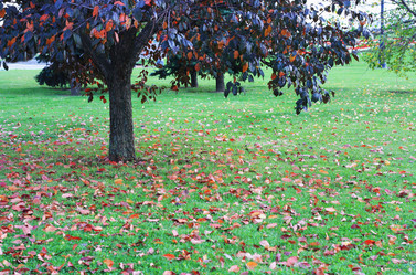 Similar image 1530512