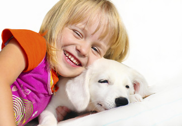 Similar image 1530524