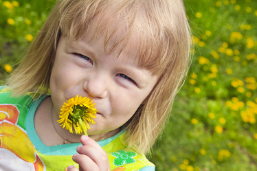 Similar image 1530531