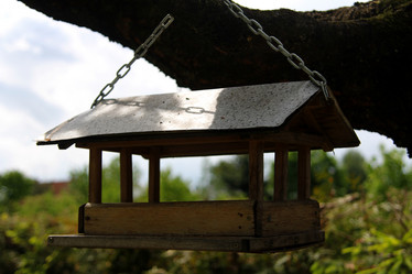 Similar image 1530816