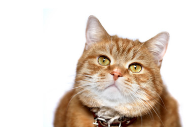 Similar image 1531067