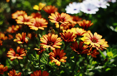 Similar image 1531169