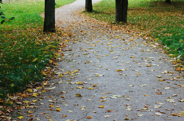 Similar image 1531170