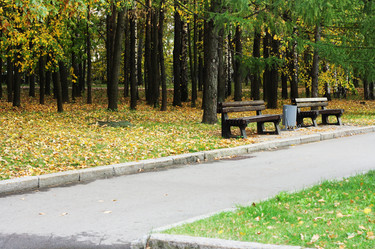 Similar image 1531173