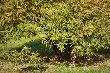 Similar image 1531174