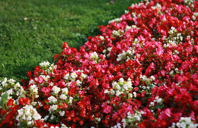 Similar image 1531175