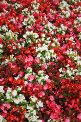 Similar image 1531176