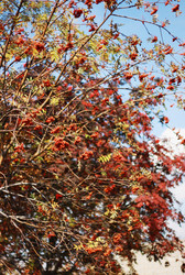 Similar image 1531177