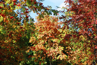 Similar image 1531178