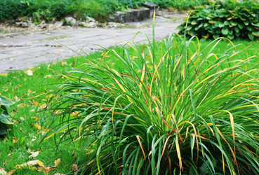 Similar image 1531182