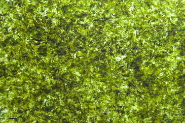 Similar image 1531190