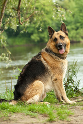 Similar image 1531211